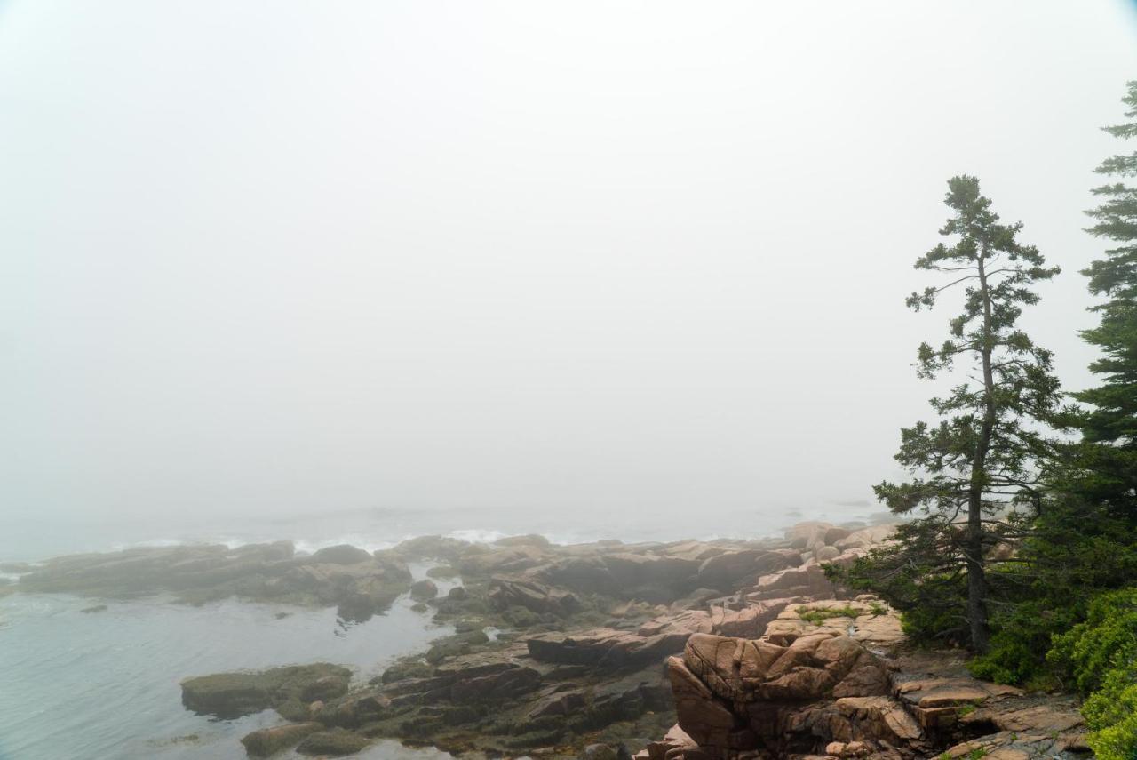 Under Canvas Acadia Surry Dış mekan fotoğraf