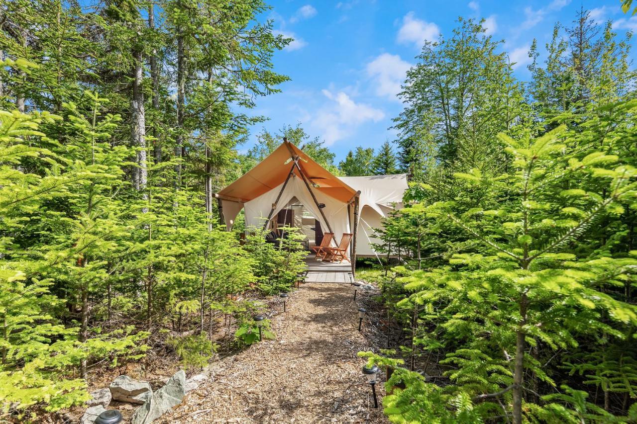 Under Canvas Acadia Surry Dış mekan fotoğraf